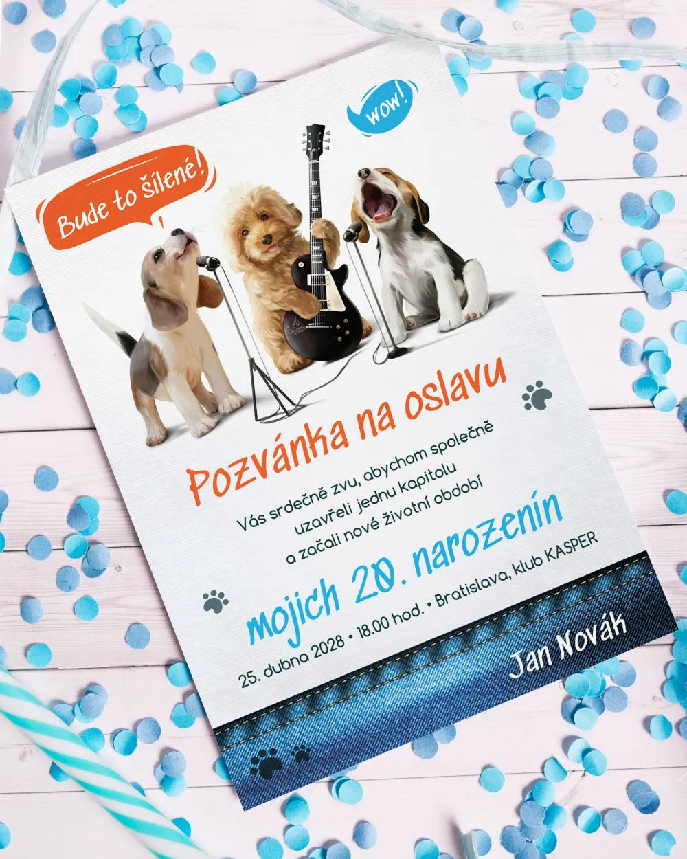 Pozvánka na oslavu narozenin - Divoká párty 2/3