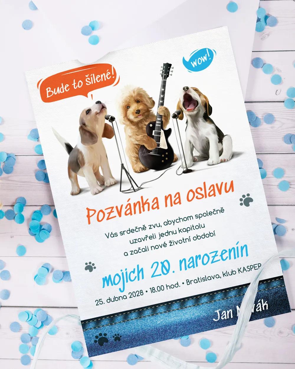 Pozvánka na oslavu narozenin - Divoká párty 1/3