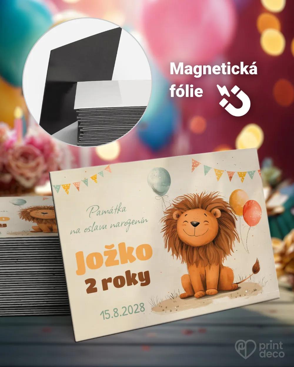 Magnetky z dětské oslavy – Lvíček