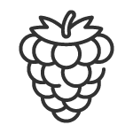 Etikety na malinovici