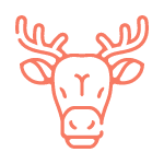 Pro myslivce a rybáře