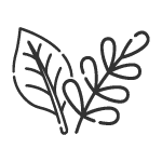 Přírodní pozvánky