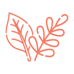 Přírodní pozvánky