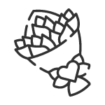 Květinová oznámení