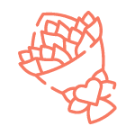 Květinová oznámení