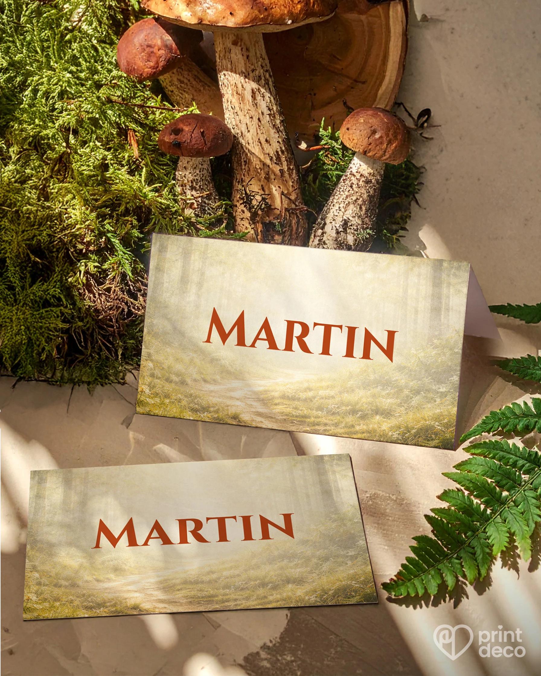 Jmenovky na oslavu pro houbaře 02