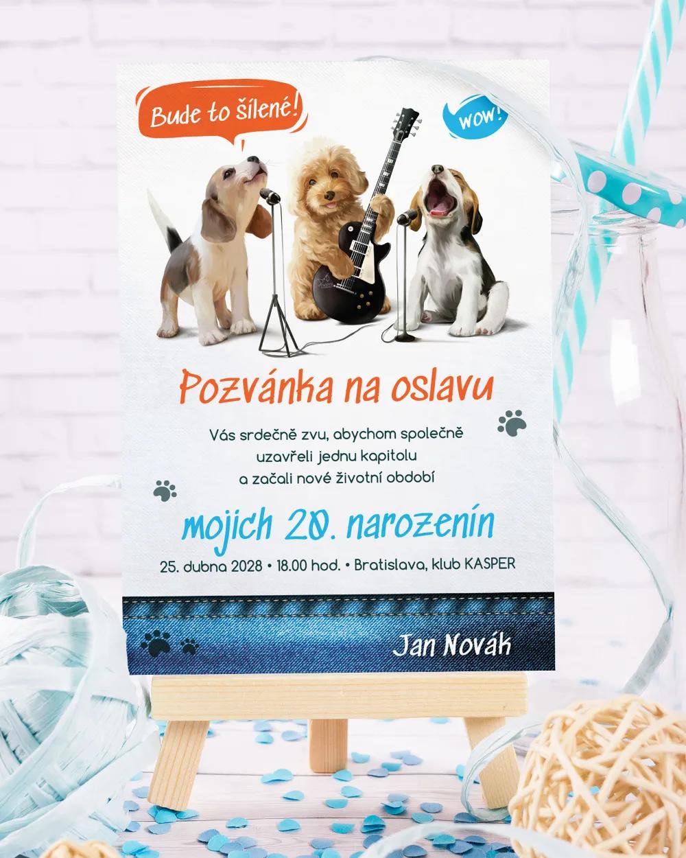 Pozvánka na oslavu narozenin - Divoká párty