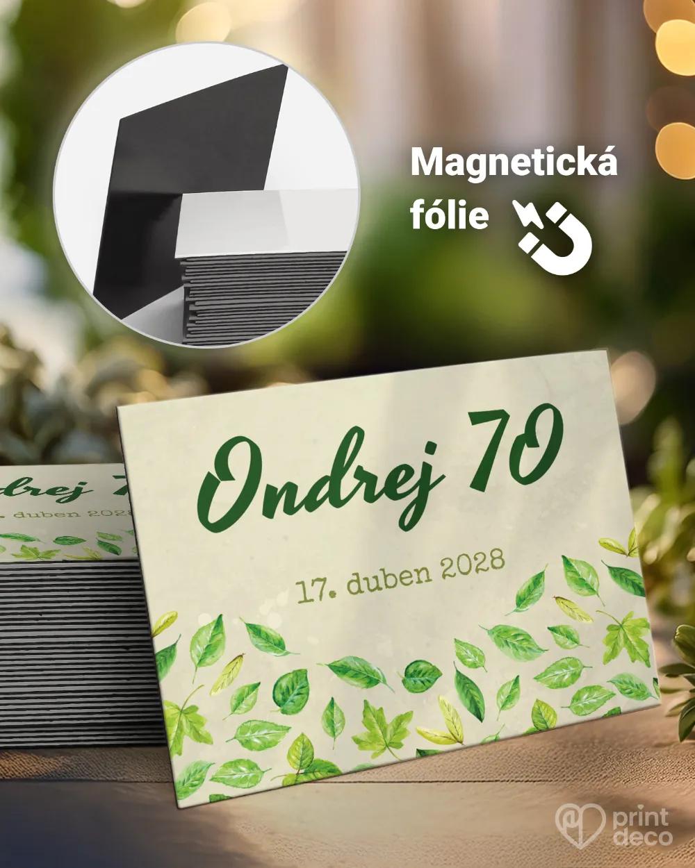 Památeční magnetky z oslavy Zelené listy