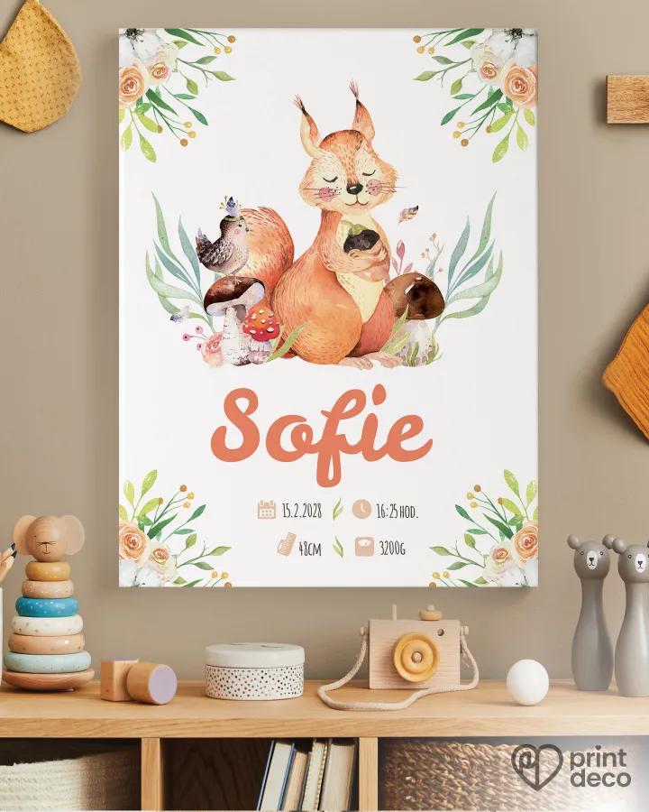 Dětský plakát s motivem veverky a lesa