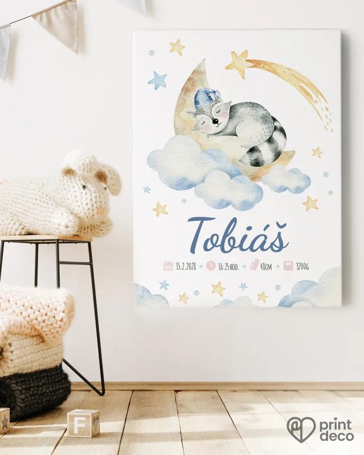 Dětský plakát s motivem spícího mývala na měsíci