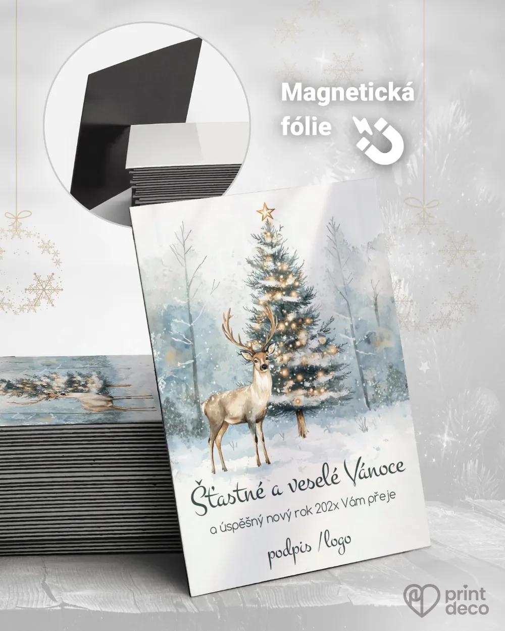 Personalizované vánoční magnetky – motiv 51